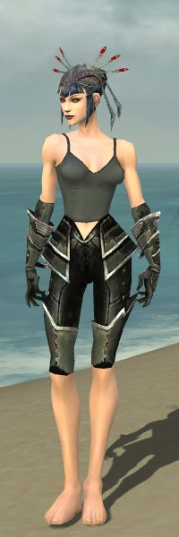 File:Necromancer Kurzick armor f gray front arms legs.jpg
