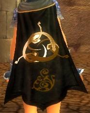 File:Guild The Gwendal Invasion Force cape.jpg