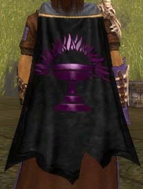 File:Guild The Warrior Priests cape.jpg
