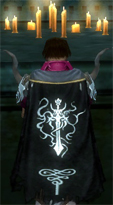 Guild The Quickhit Fighters Clan cape.jpg