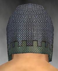 File:Warrior Tyrian armor m gray back head.jpg
