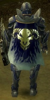 File:Guild Reign Of Order And Chaos cape.jpg