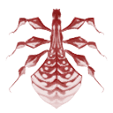 Insect cape emblem.png