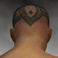 File:Monk Elite Luxon armor m gray back head.jpg