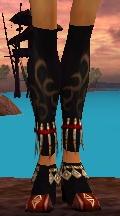 User Zemmy Canthan Shoes bug.jpg