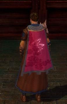 File:Guild The Pink People cape.jpg