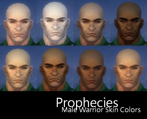 File:Prophecies Male Warrior Skin Colors.JPG