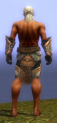 File:Warrior Elite Sunspear armor m gray back arms legs.jpg