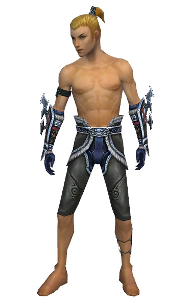 File:Assassin Norn armor m gray front arms legs.png