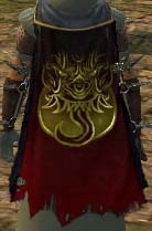 Guild Sins Of The Undead cape.jpg
