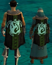 File:Guild Blood And Sweat cape.jpg