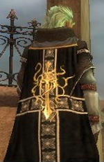 Guild The Heroes Of The Five Gods cape.jpg