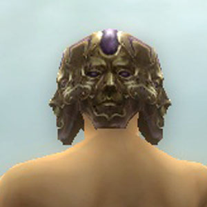 File:Vision of Lyssa costume m purple back head.jpg
