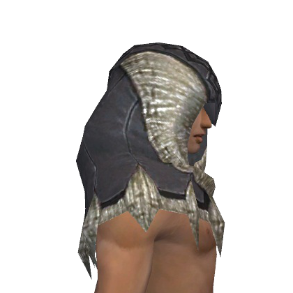File:Dervish Norn Hood m gray right.png