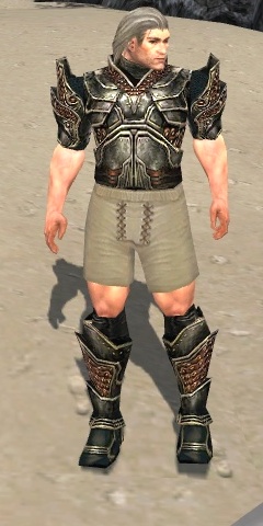 File:Warrior Kurzick armor m gray front chest feet.jpg