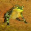 Guild Gems Of Destiny Frog1.png