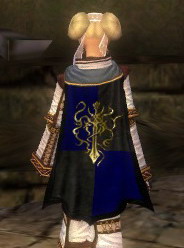 File:Guild Shadow Knights Of Balthazar cape.jpg