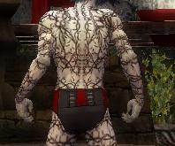 File:Necromancer Elite Scar Pattern armor m gray back chest feet.jpg