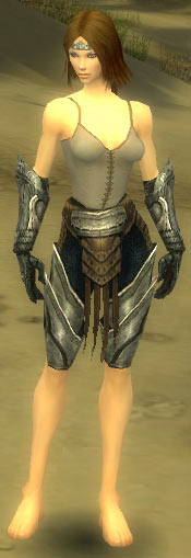 File:Warrior Elite Sunspear armor f gray front arms legs.jpg