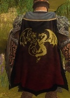 File:Guild The Brotherhood Of The Blades cape.jpg