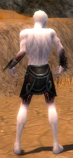 File:Necromancer Sunspear armor m gray back arms legs.jpg