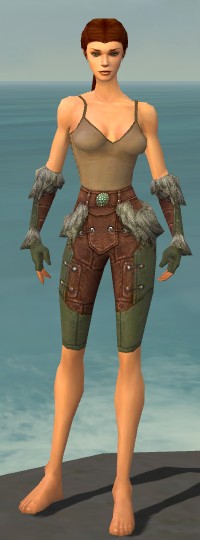 File:Ranger Fur-Lined armor f gray front arms legs.jpg