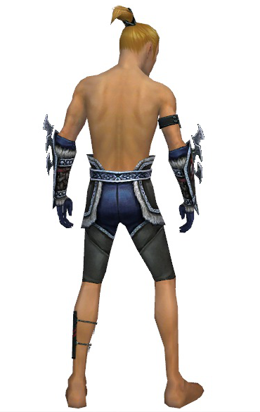 File:Assassin Norn armor m gray back arms legs.png