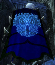File:Guild Chaotic Dragoons cape.jpg