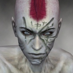 File:Necromancer Shing Jea armor m gray front head.jpg