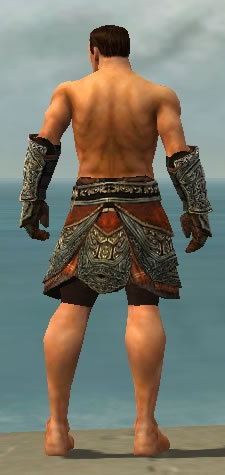File:Warrior Elite Canthan armor m gray back arms legs.jpg