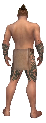 File:Monk Dragon armor m gray back arms legs.jpg
