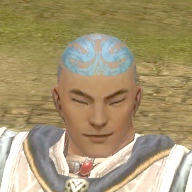 File:Monk Dragon armor m blue front head.jpg