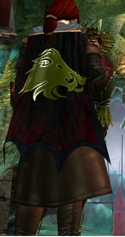 File:Guild The Dark Ranger cape.jpg