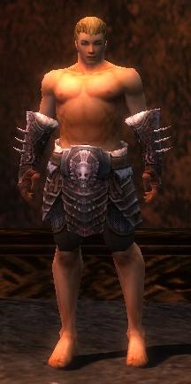 File:Warrior Norn armor m gray front arms legs.jpg