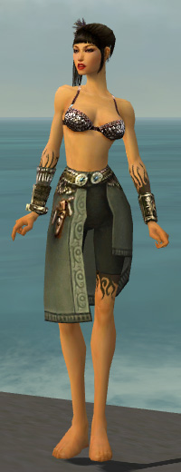 File:Ritualist Canthan armor f gray front arms legs.jpg