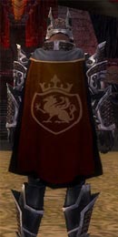 File:Guild Order of the Flameseekers Cape.jpg