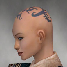 File:Monk Ancient armor f gray left head.jpg