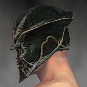 File:Warrior Elite Luxon armor m gray left head.jpg