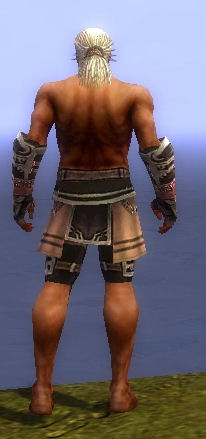 File:Warrior Ancient armor m gray back arms legs.jpg