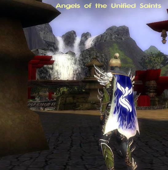 File:Guild Angels Of The Unified Saints cape.jpg