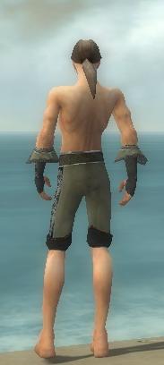File:Elementalist Elite Kurzick armor m gray back arms legs.jpg