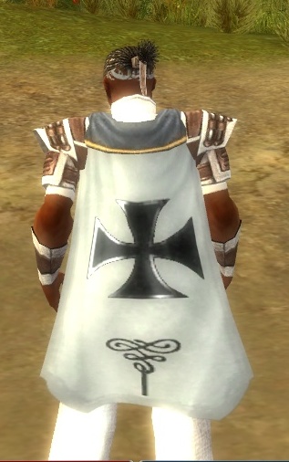 File:Guild Failed To Real cape.jpg