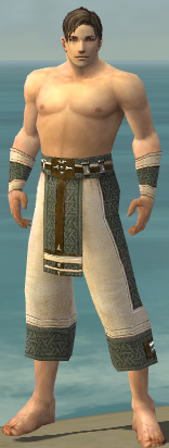 File:Monk Elite Saintly armor m gray front arms legs.png