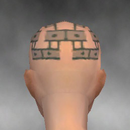 File:Monk Luxon armor f gray back head.jpg