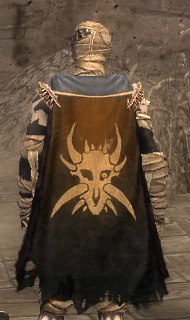 File:Guild Order Of The Sacred Tongue cape.jpg