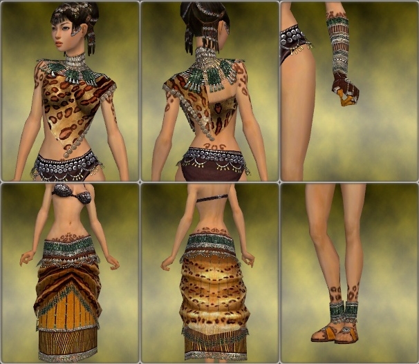 File:Ritualist Elite Exotic armor f yellow overview.jpg