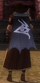 Guild The Brotherhood Of Lazy Gamers cape.jpg
