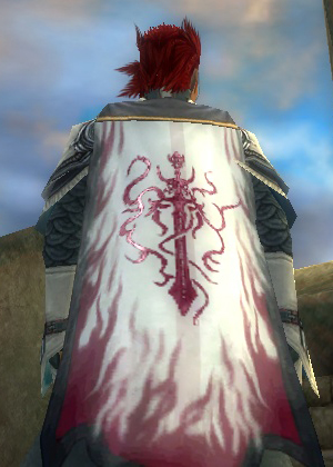File:Guild Wretched Riders Of Desolation cape.jpg