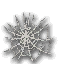 Silken Spider Web.png
