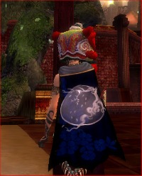 File:Guild Back With A Vengeance cape.jpg